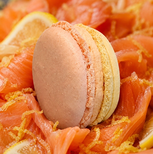 Macaron Truite fumée citronnée
